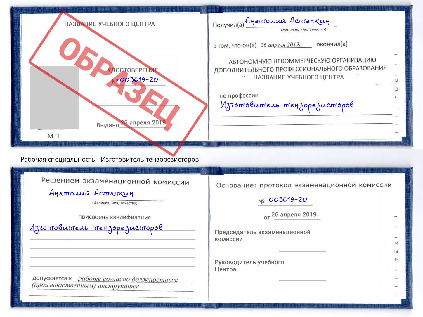Изготовитель тензорезисторов Анапа