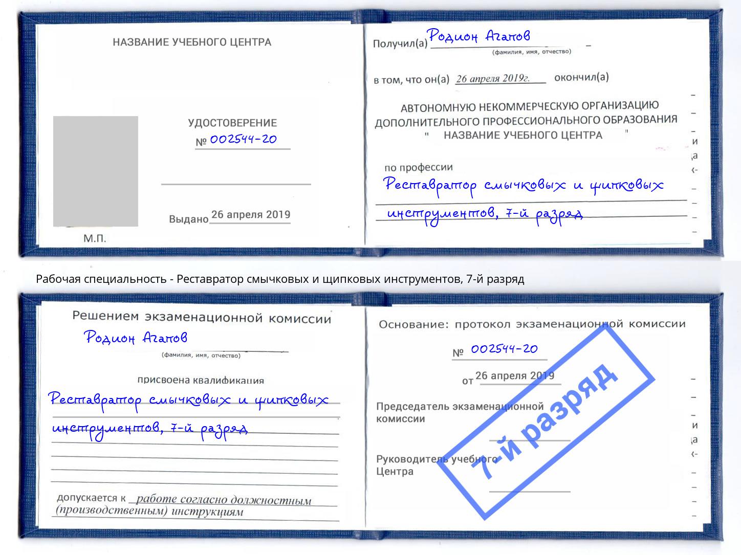 корочка 7-й разряд Реставратор смычковых и щипковых инструментов Анапа