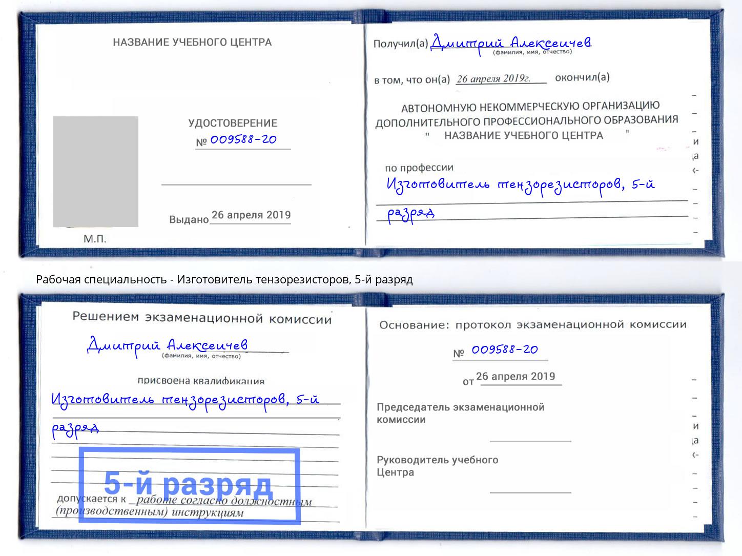 корочка 5-й разряд Изготовитель тензорезисторов Анапа